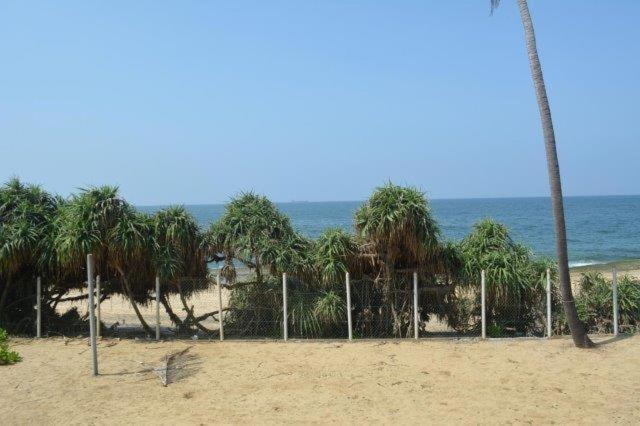 The Beach Front Apartment - Colombo, Uswetakeiyawa, Colombo Wattala Exterior foto